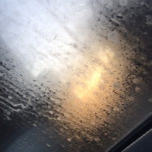 Meet your Posher, Trevyn